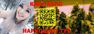 стафф Будённовск