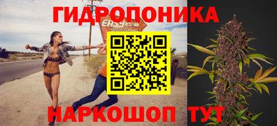 прущие грибы Бузулук