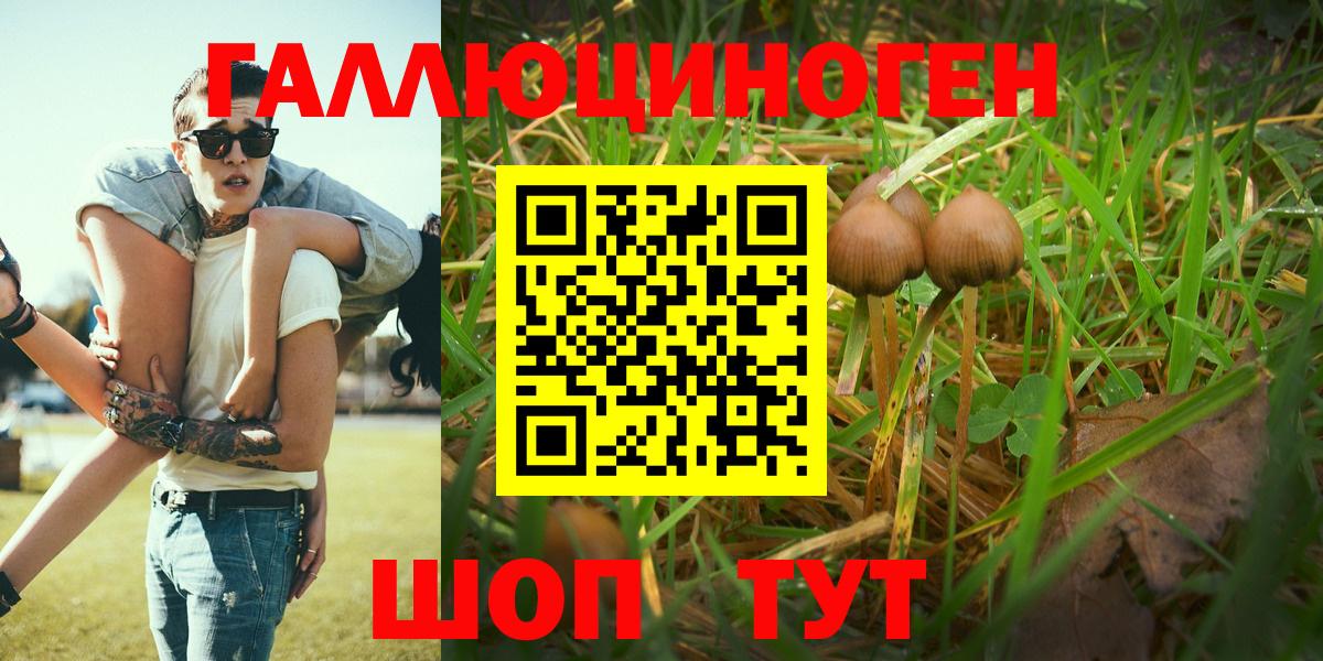 Псилоцибиновые грибы Psilocybe  Псилоцибиновые грибы Magic Shrooms  Вход с VPN  Кореновск 